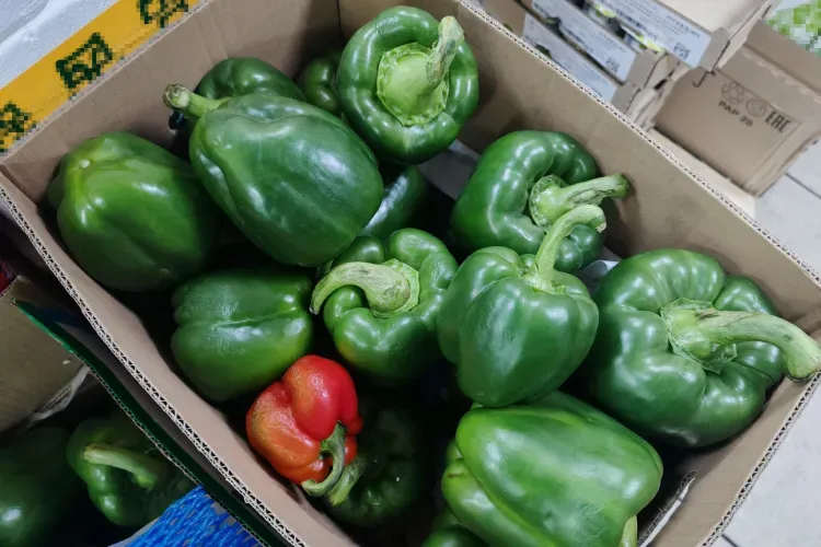 Дефицит сладкого перца может грозить России из-за событий вокруг Ирана