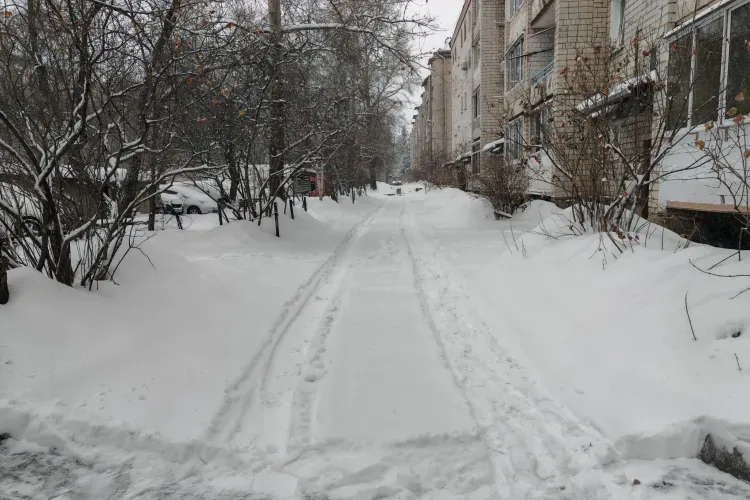 Небольшой снег пройдет в Амурской области 8 марта