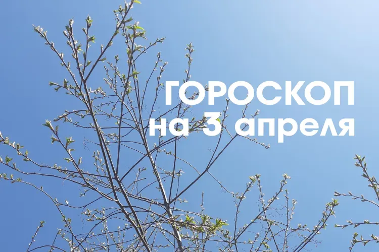 Твой знак, твоя судьба: 3 апреля - убывающая Луна в знаке Весы и Скорпион делает людей более открытыми для общения и взаимодействия