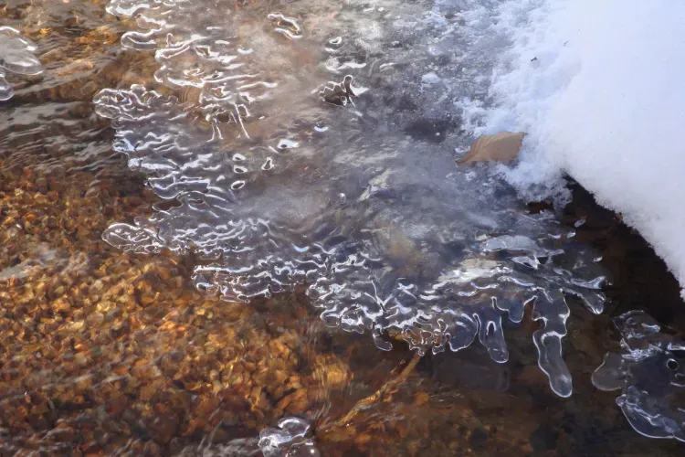 Днем в отдельных районах Амурской области 3 апреля небольшие осадки (снег, мокрый снег) 