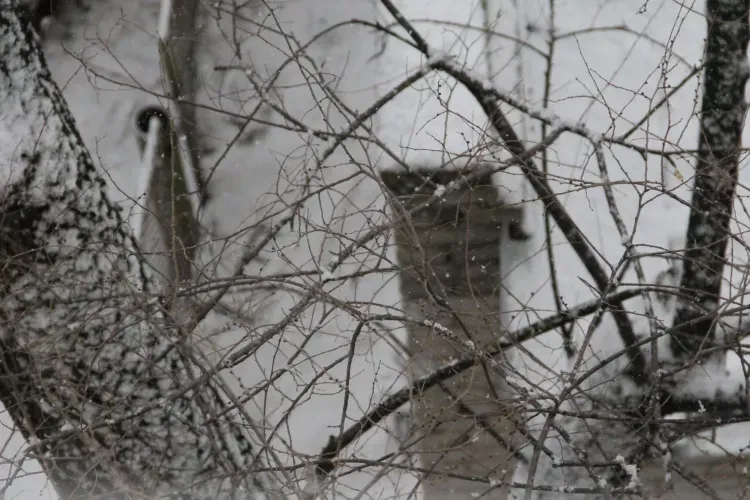 Снег с дождем пройдет в Приамурье 5 апреля