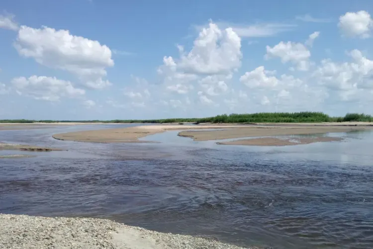 Суд заставил золотодобытчика выпустить рыб в реку Зея