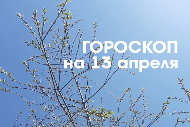 Твой знак, твоя судьба: 13 апреля - убывающая Луна в знаке Водолей и Рыбы приводит к суете, ссорам, агрессии и не способствует достижению желаемых результатов