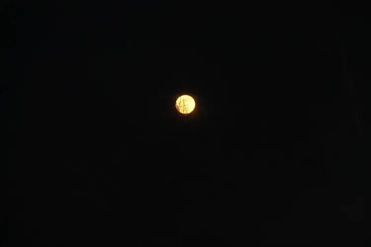 Самую маленькую Луну смогут увидеть в мае россияне