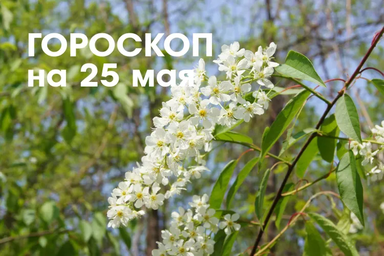 Гороскоп на 25 мая: растущая Луна в знаке Дева и Весы отрицательно влияет на человека, возможны тревоги, страхи, мрачные мысли
