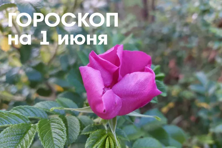 Гороскоп на 1 июня 2026 года: убывающая Луна в знаке Стрелец - это чистый, светлый, спокойный день