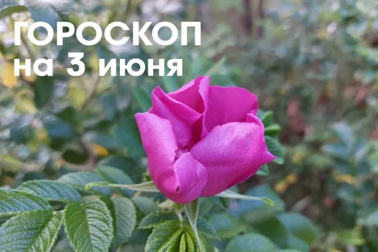 Гороскоп на 3 июня 2026 года: убывающая Луна в знаке Козерог - отличный день для того, чтобы оглянуться назад, подвести итоги и избавиться от ненужного