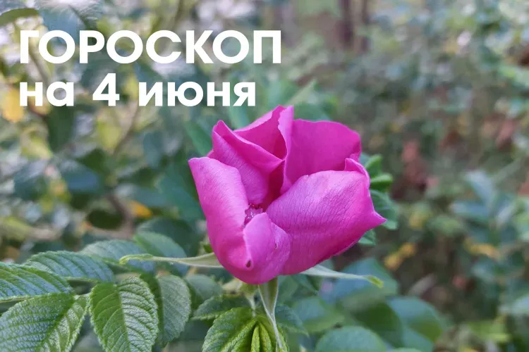 Гороскоп на 4 июня 2026 года: убывающая Луна в знаке Козерог - хороший день для решения сложных задач