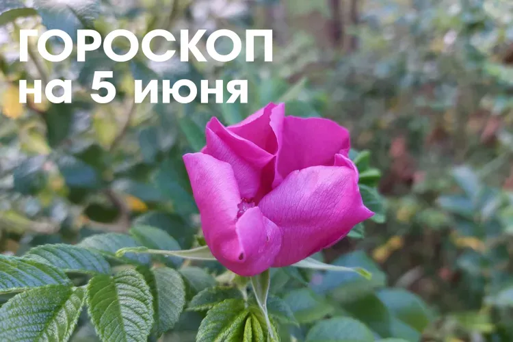 Гороскоп на 5 июня 2026 года: убывающая Луна в Водолее - в этот день нужно осторожно тратить силы 