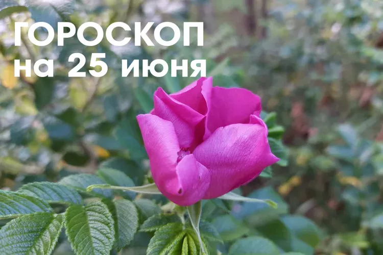 Гороскоп на 25 июня 2026 года: растущая Луна в знаке Скорпион - день удачен для решительных действий в работе и бизнесе