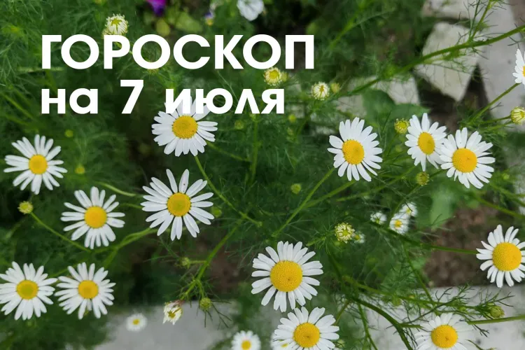 Гороскоп на 7 июля 2026 года: убывающая Луна в знаке Овна дает возможность быть альтруистом, учить других, передавать опыт, проявлять щедрость или просто накапливать знания