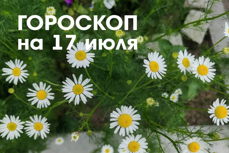 Гороскоп на 17 июля 2026 года: растущая Луна в знаке Лев и Дева - день хорош для уединения и пассивности