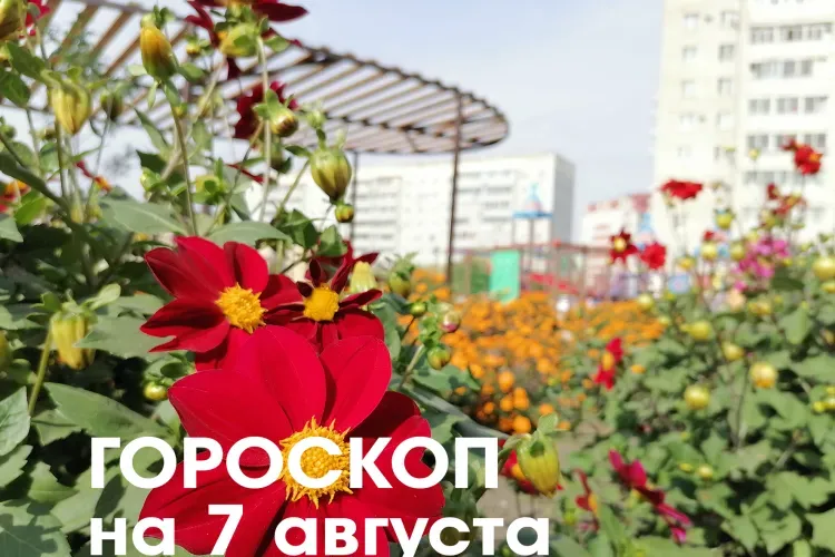 Гороскоп на 7 августа 2026 года: убывающая Луна в знаке Тельца и Близнецов - усердие и трудолюбие принесут долгожданные результаты