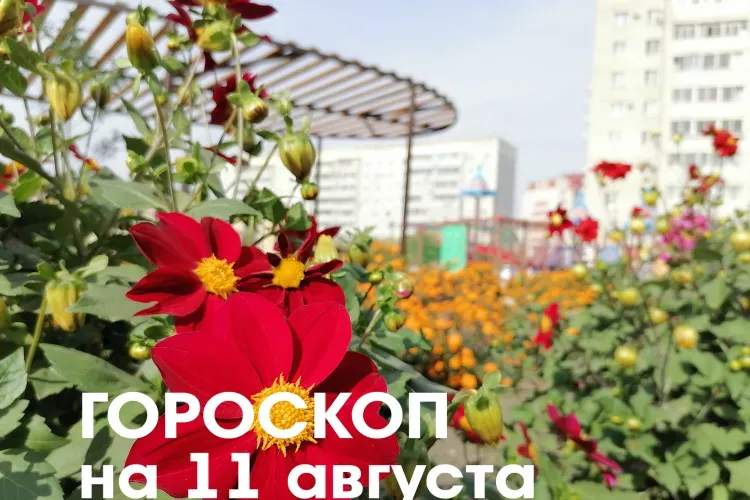 Гороскоп на 11 августа 2026 года: убывающая Луна в знаке Рака и Льва - день идеально подходит, чтобы начать здоровый образ жизни