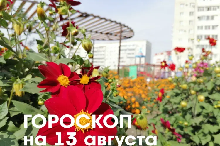 Гороскоп на 13 августа 2026 года: растущая Луна в знаке Льва и Девы благоприятствует началу новых дел и проектов