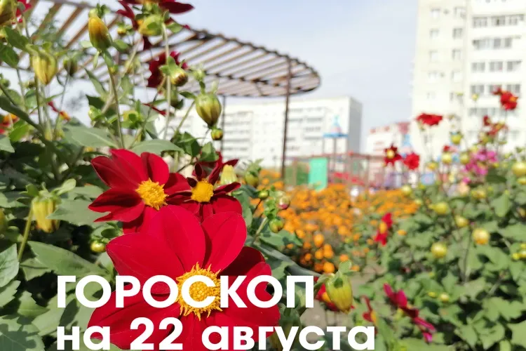 Гороскоп на 22 августа 2026 года: растущая Луна в знаке Стрельца принесет неожиданные повороты судьбы и приключения
